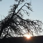 Doris Kirsch - Facebook