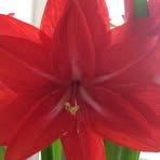 Doris Kirschner - Facebook