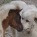 Doris Kiser - Facebook
