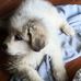 Doris Kiser - Facebook