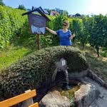 Doris Kist - @doriskist_weinerlebnisortenau - Instagram