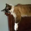 Doris Kistenmacher Doris - @doris.kistenmache - TikTok