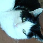 Doris Klein - @doris.klein.1654 - Instagram