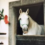 Doris Klein - @doris.klein.75 - Instagram