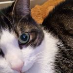 Doris Klein - @doris.klein.7355079 - Instagram