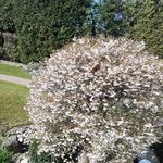 Doris Klingebiel - @dorisklingebie - Instagram