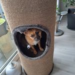 Doris Klingmann - @klingmanndoris - Instagram
