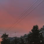 Doris Knapp - @carlahonela8 - Instagram