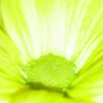Doris Knobloch - Facebook