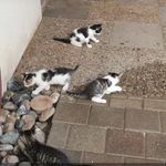 Doris Knoll - @dorisknoll - Instagram