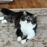 Doris Knutson - @dorisjuliar - Instagram