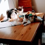 Doris Köhl - @doris.kohl.520 - Instagram
