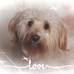 Doris Kohl - Facebook