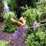 Doris kohler - @doris_kohler1 - Instagram