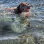 Doris Kohler - @doris_kohler58 - Instagram