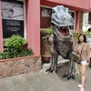 doriskoo8 - @doriskoo8 - TikTok