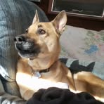 Doris Koontz - Facebook