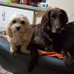 Doris Brodkorb - @dorisbrodkorb - Instagram