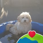 Doris Brodkorb - @brodkorbdoris - Instagram