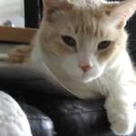Doris Korman - @doris.korman.5492 - Instagram