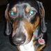 Doris Korn - Facebook