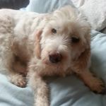 Doris Korndorf - @doriskorndorf - Instagram