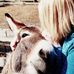 Doris Kofler - Facebook