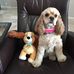 Doris Krahn - Facebook