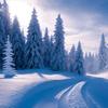 Doris Kristen - @doriskristen1 - TikTok