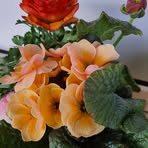 Doris Kruse - Facebook