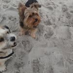 Doris Kruse - @kruse6667 - Instagram