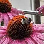 Doris Kuhlmann - Facebook