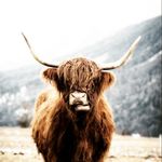 Doris Künzler - @doris.kunzler - Instagram