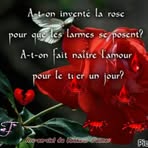 Doris Labonté - Facebook