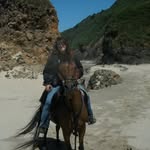 Doris Ladd - @ddayarabians - Instagram