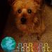 Doris Ladd - Facebook