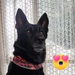 Doris Laila Paredes Daig - @dorislaila - Instagram
