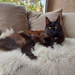 Doris Lambert - @michel.lambert.9275 - Instagram