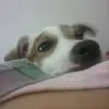 Doris Landa - @dorothe99 - TikTok