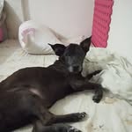 Doris Landaeta - @doris.landaeta.3 - Instagram