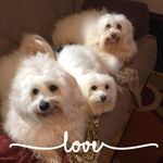 Doris Landry - @dlandry864 - Instagram