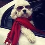 Doris Lange - @dblange - Instagram