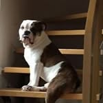 Doris Lange - @langedoris - Instagram