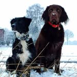 Doris Langer - @doris.langer.313 - Instagram