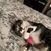 Doris Latham - Facebook