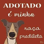 Doris Leite Ribeiro - @dorisleiteribeiro - Instagram