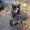 dorisleites - @dorisleites - TikTok