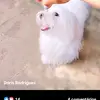 doryssilva432 - @dorisrodriguesleite - TikTok