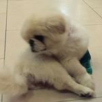 Doris  Leung - @doris.leung.3994 - Instagram