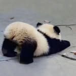 Doris Leung - @4dleung - Instagram